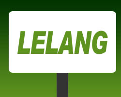 Pengumuman Lelang