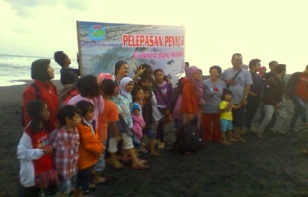 Pelepasan Penyu UAD di parangtritis baron gua cemaren.jpg